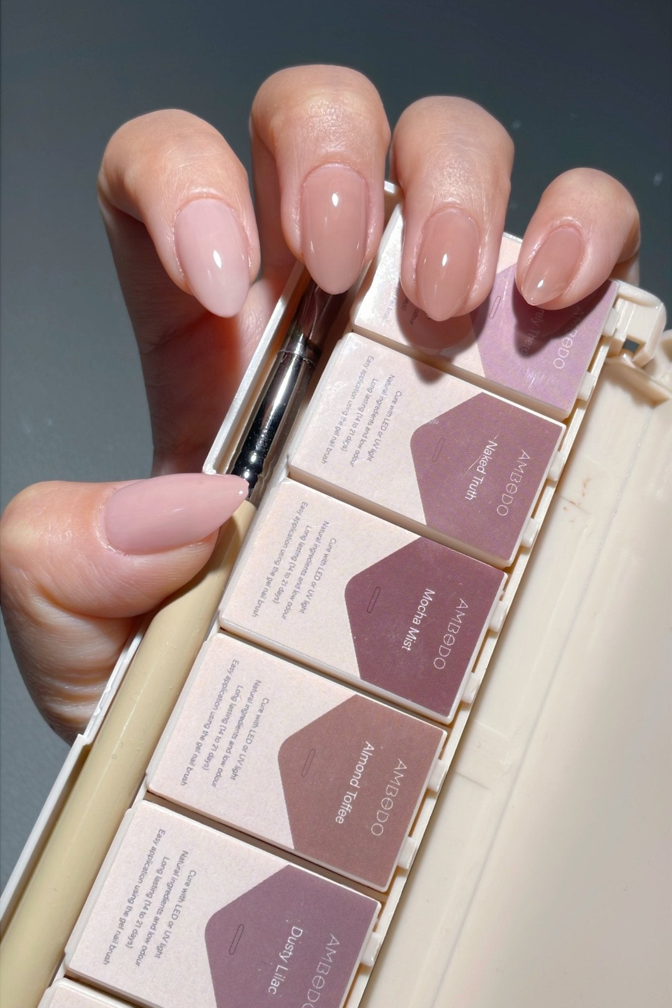 6 - Pan Solid Gel Nail Polish Palette| Mauve| Sheer Jelly Gel - Ambedo BeautyNail Polishes