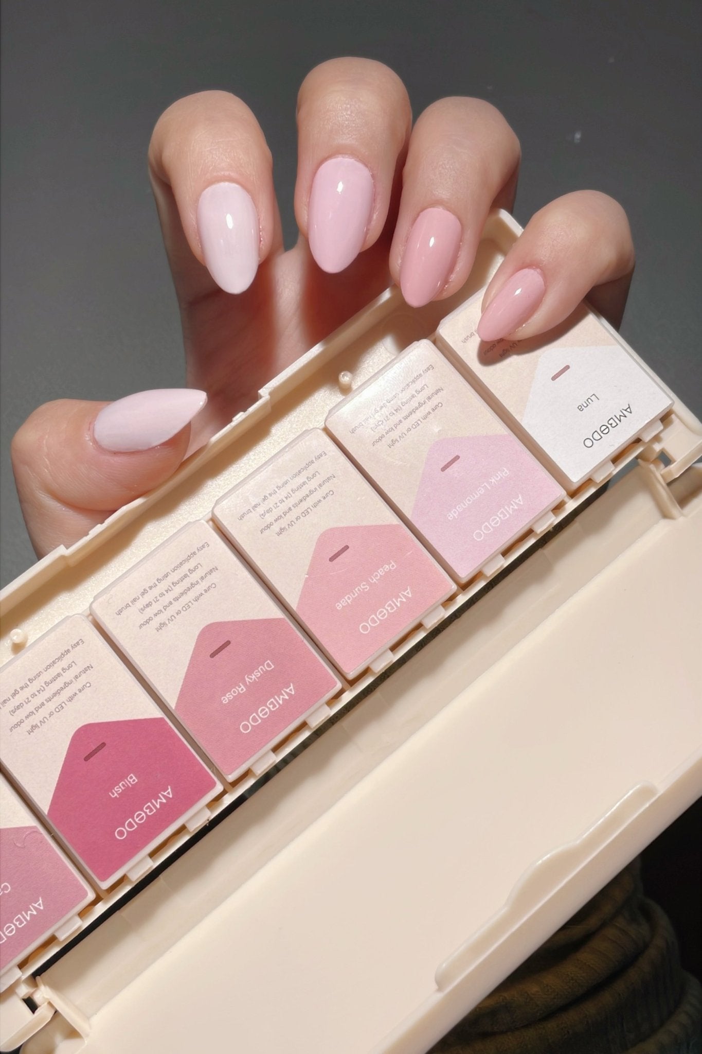 6 - Pan Solid Gel Nail Polish Palette | Rosè - Ambedo BeautyNail Polishes