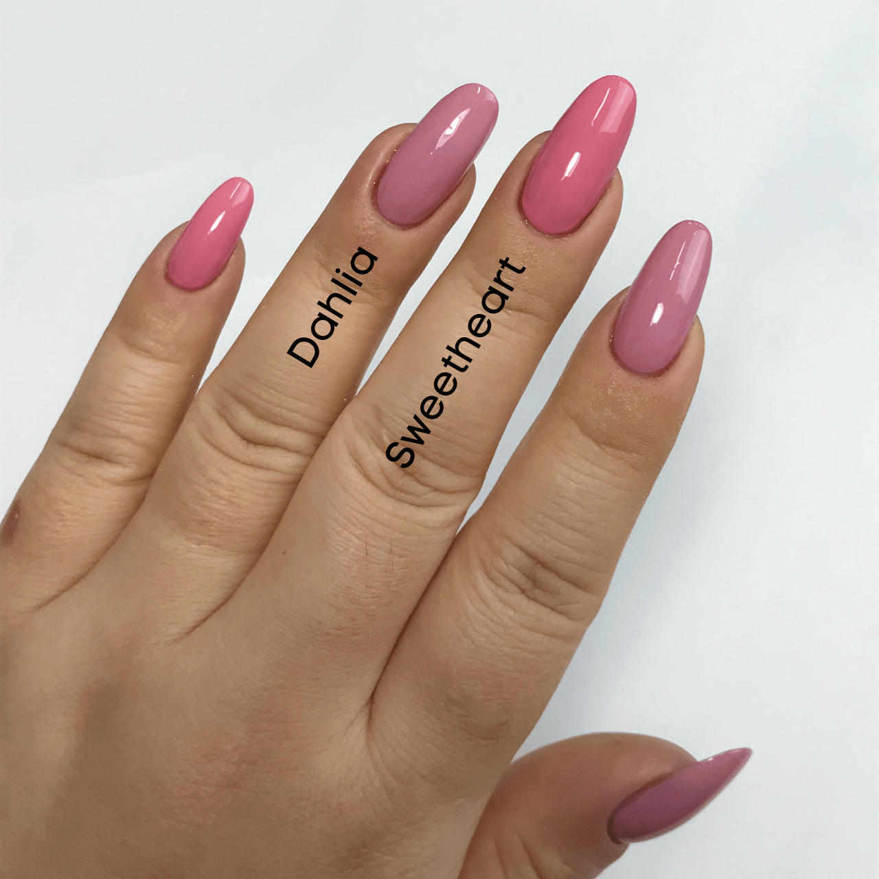 Ambedobeauty Nail Polishes DIY Gel Capsule Refills| Sugar Blossom-Pink/Purple