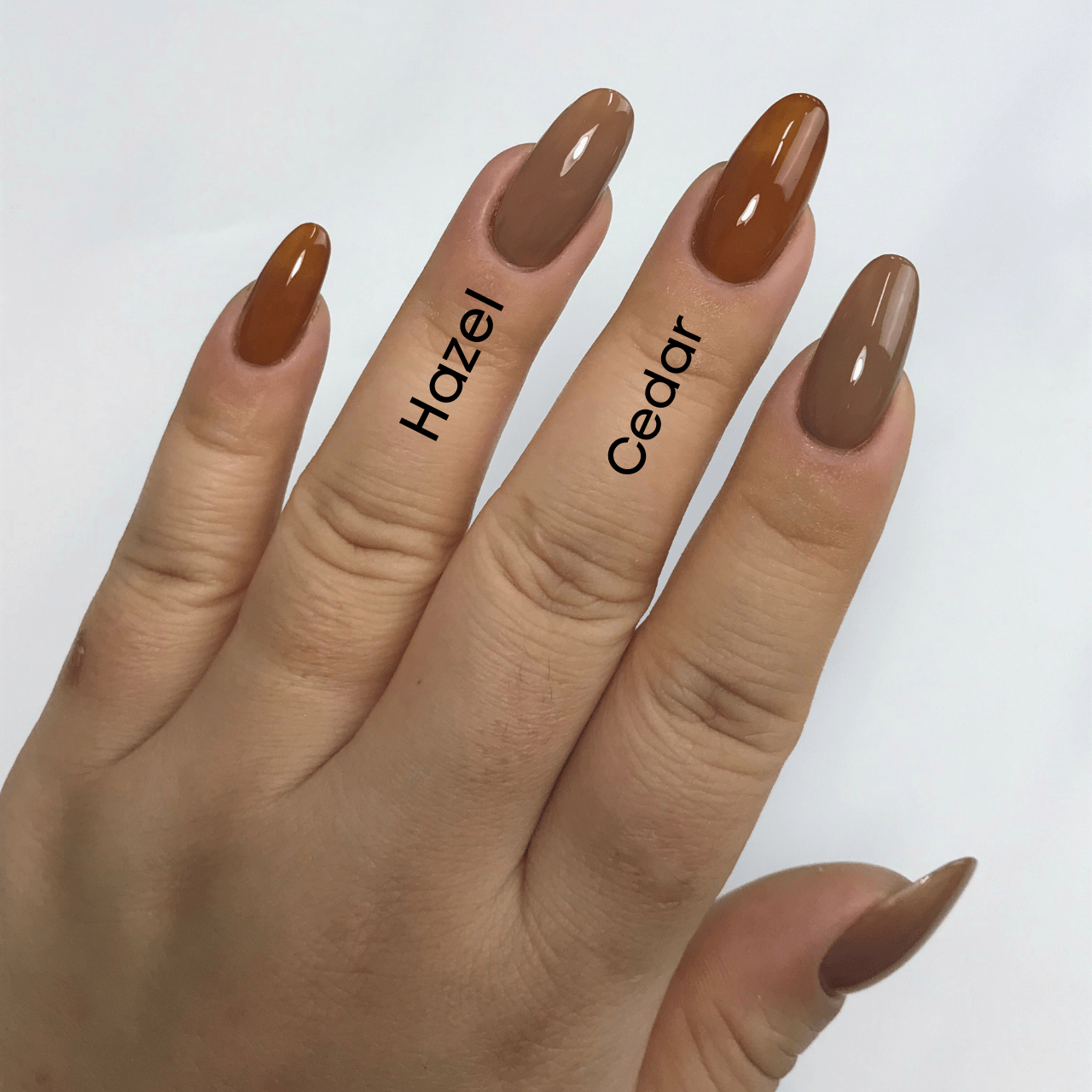 Ambedobeauty Nail Polishes DIY Gel Refill Capsules| Neutral Core-Beige/Cream/Nude