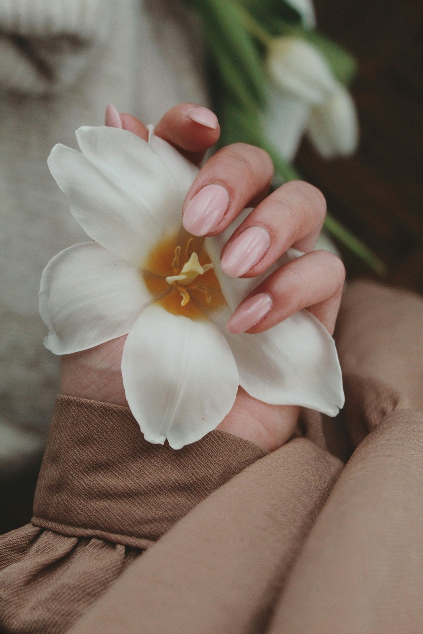 Builder Gel (BIAB) vs Gel Polish vs Acrylic: Which Is Best for Your Nails? - Ambedo Beauty