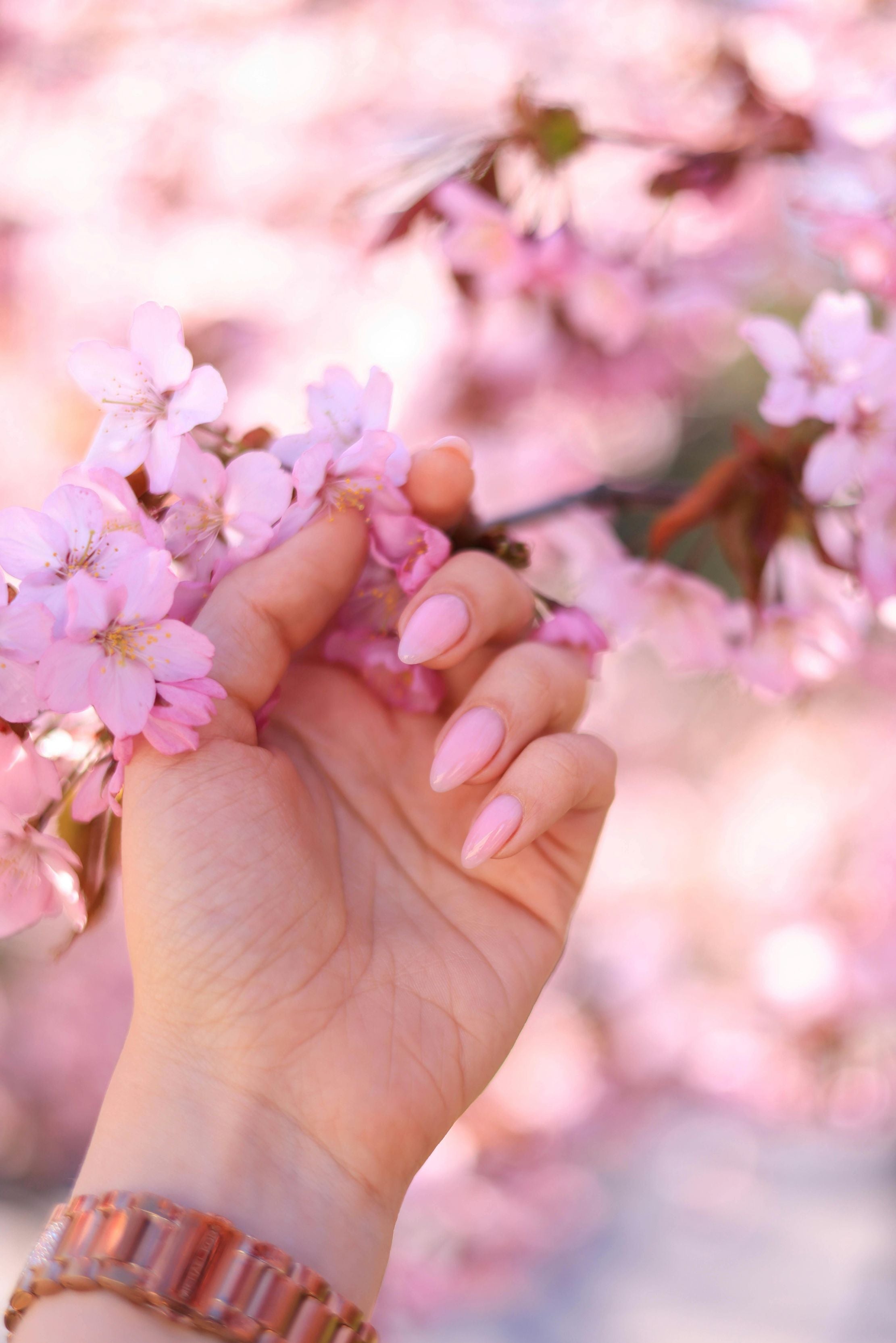 Rose Water Nail Trend: The Newest Chic, Gorgeous, Easy To Maintain Manicure