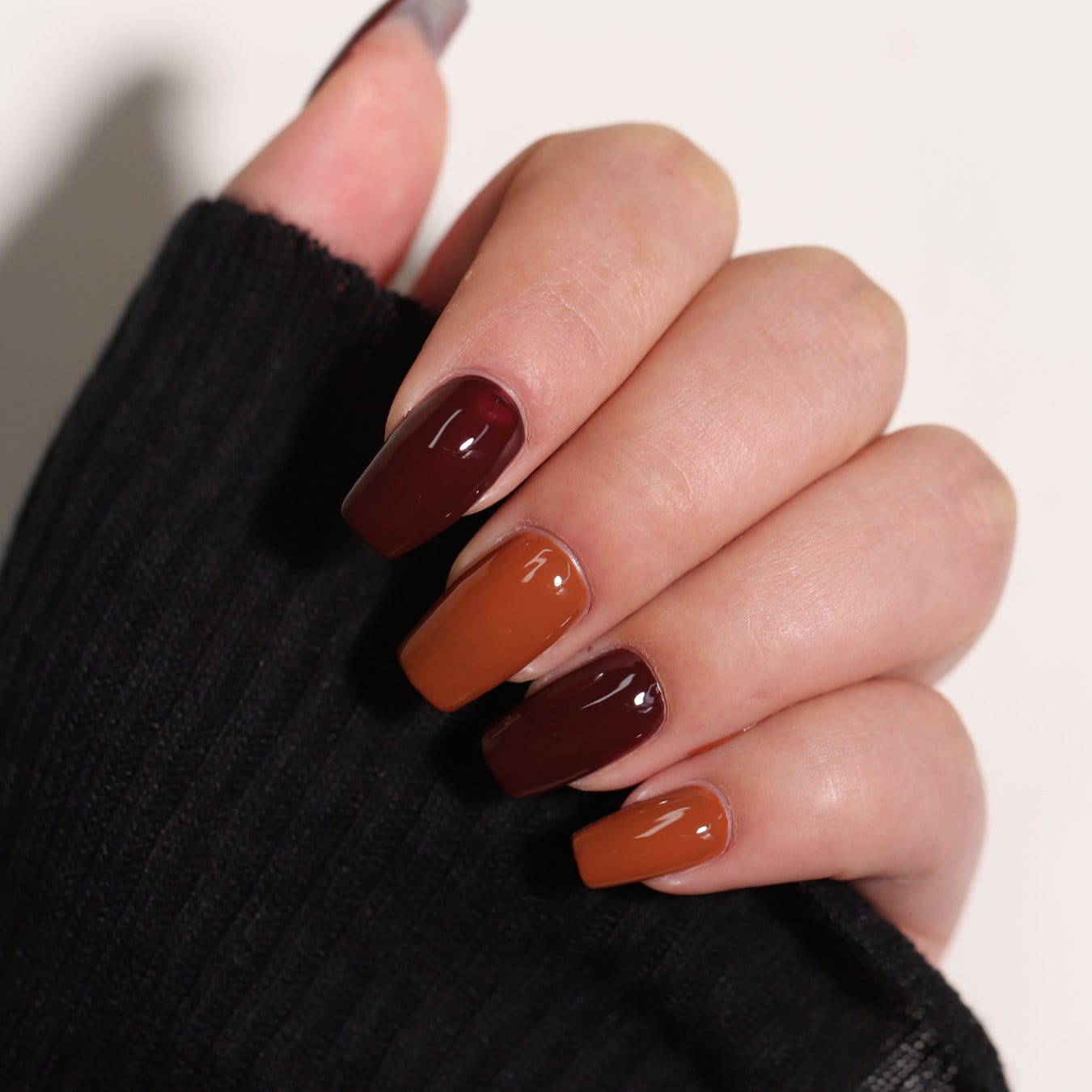 6 - Pan Solid Gel Nail Polish Palette | Earth - Ambedo Beauty