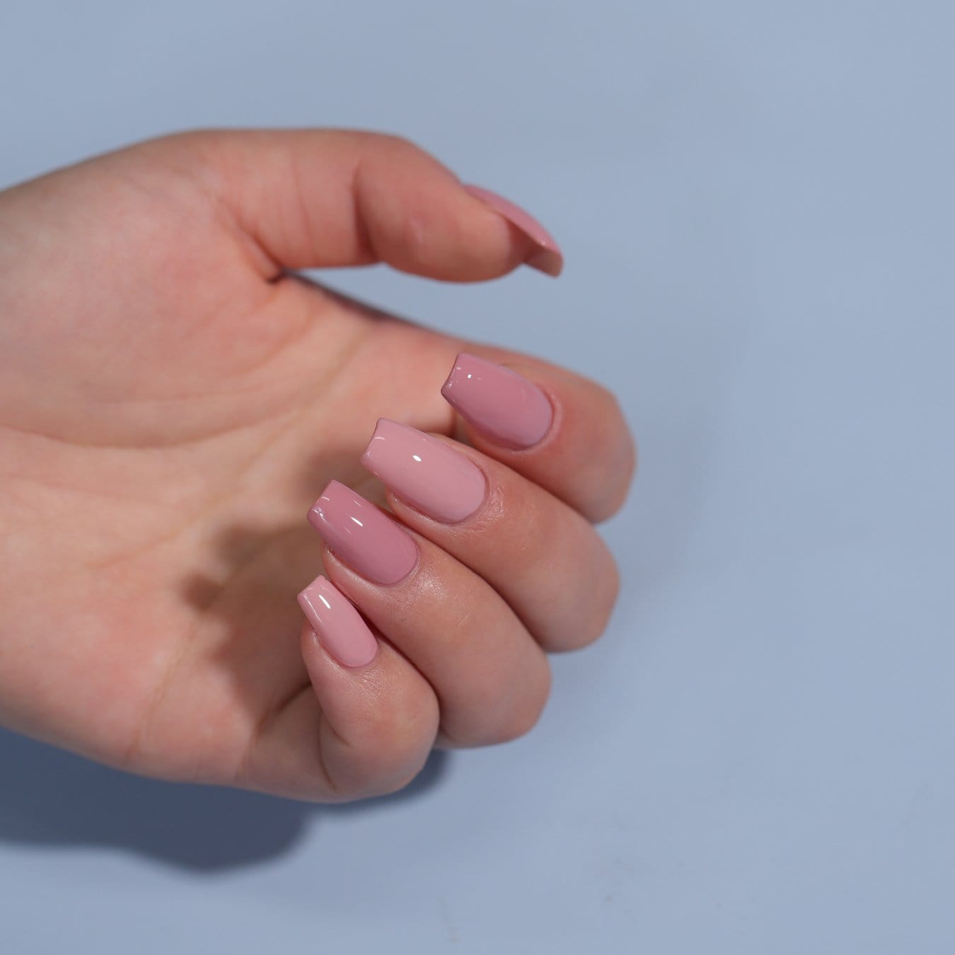 6 - Pan Solid Gel Nail Polish Palette | Rosè - Ambedo Beauty