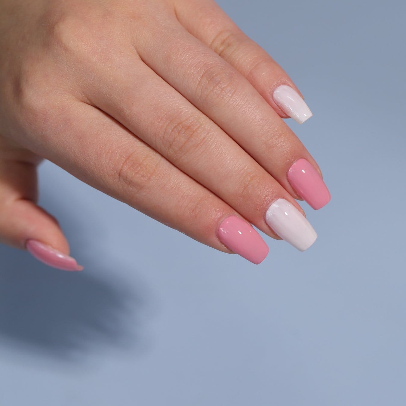 6 - Pan Solid Gel Nail Polish Palette | Rosè - Ambedo Beauty