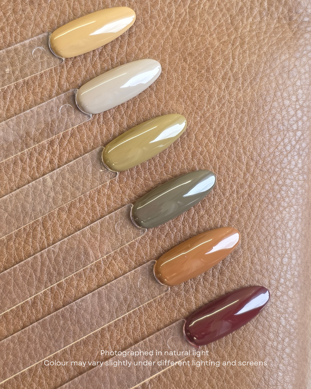 6-Pan Solid Gel Nail Polish Palette | Melbourne Brew